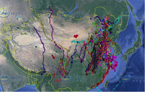 盛煌娱乐,湖南野生动物追踪,湖南卫星追踪器,湖南追踪器