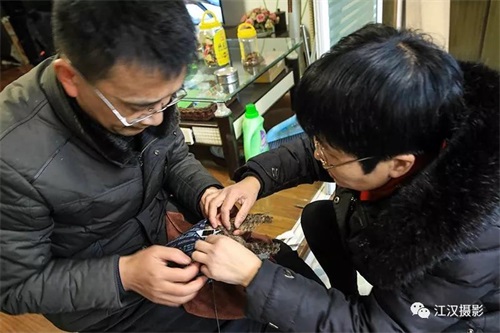 盛煌娱乐,湖南野生动物追踪,湖南卫星追踪器,湖南追踪器