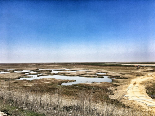 盛煌娱乐,湖南野生动物追踪,湖南卫星追踪器,湖南追踪器