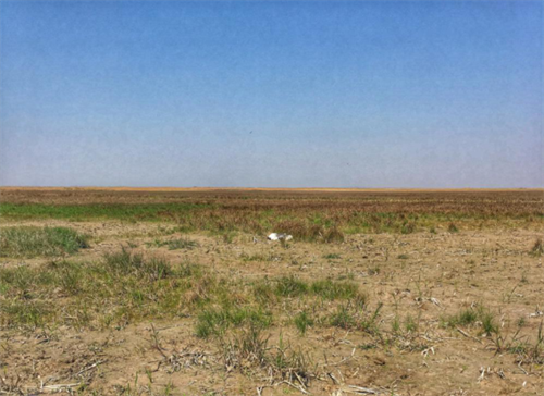 盛煌娱乐,湖南野生动物追踪,湖南卫星追踪器,湖南追踪器