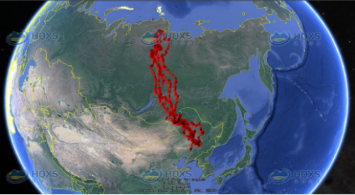盛煌娱乐,湖南野生动物追踪,湖南卫星追踪器,湖南追踪器