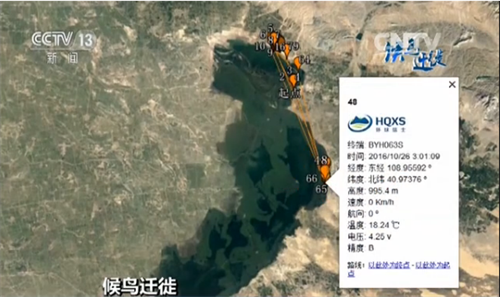 盛煌娱乐,湖南野生动物追踪,湖南卫星追踪器,湖南追踪器