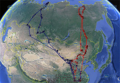 盛煌娱乐,湖南野生动物追踪,湖南卫星追踪器,湖南追踪器