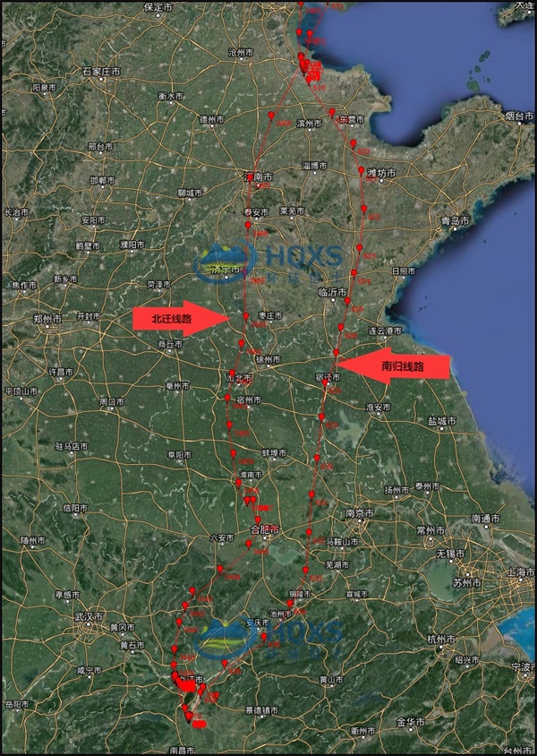 盛煌娱乐,湖南野生动物追踪,湖南卫星追踪器,湖南追踪器
