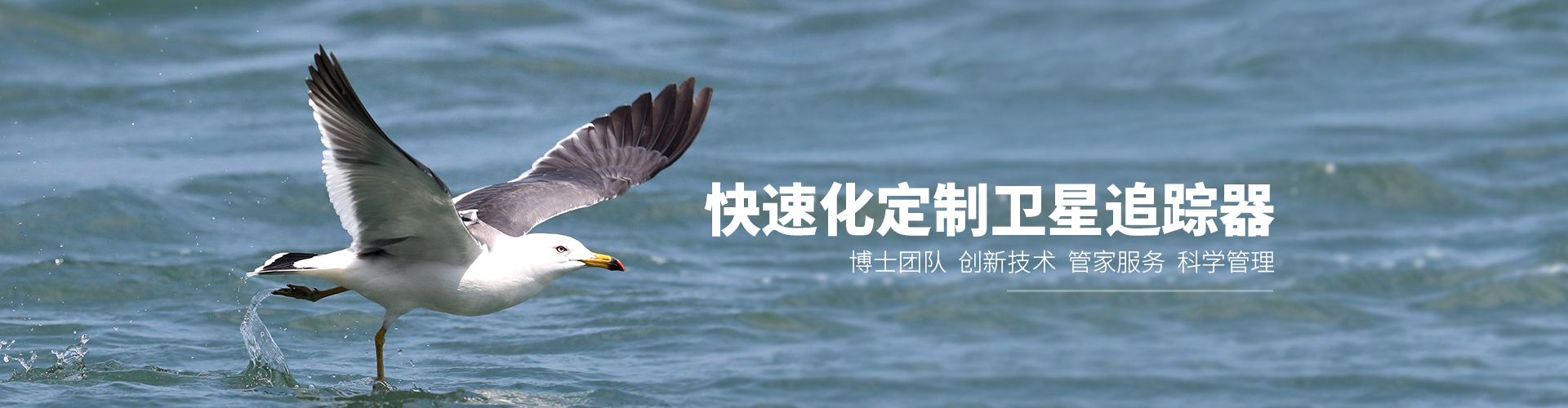 盛煌娱乐_湖南野生动物追踪|湖南卫星追踪器