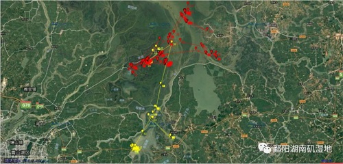 盛煌娱乐,湖南野生动物追踪,湖南卫星追踪器,湖南追踪器
