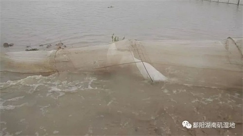 盛煌娱乐,湖南野生动物追踪,湖南卫星追踪器,湖南追踪器