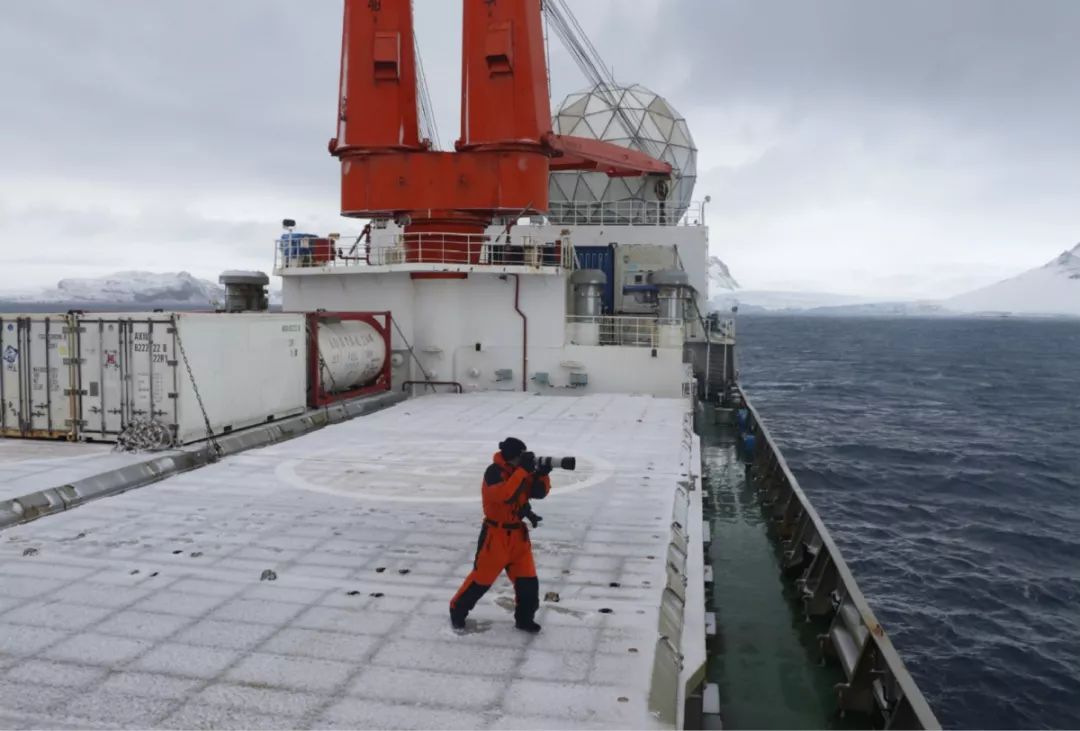 盛煌娱乐,湖南野生动物追踪,湖南卫星追踪器,湖南追踪器