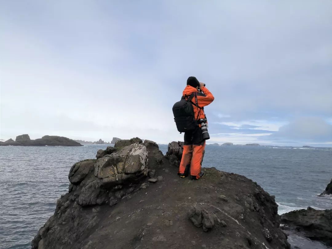 盛煌娱乐,湖南野生动物追踪,湖南卫星追踪器,湖南追踪器