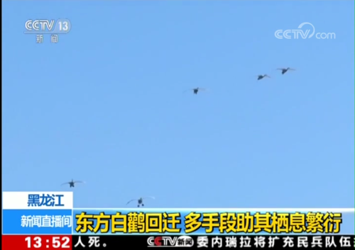 盛煌娱乐,湖南野生动物追踪,湖南卫星追踪器,湖南追踪器