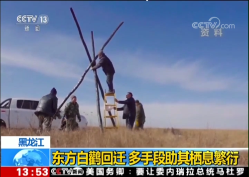 盛煌娱乐,湖南野生动物追踪,湖南卫星追踪器,湖南追踪器