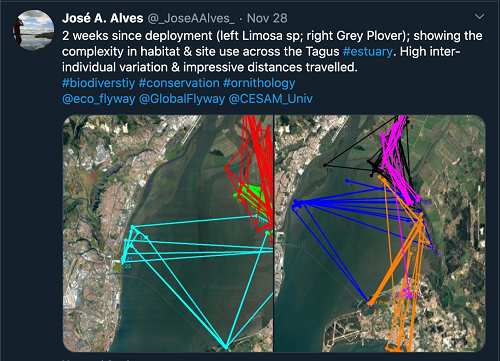 盛煌娱乐,湖南野生动物追踪,湖南卫星追踪器,湖南追踪器