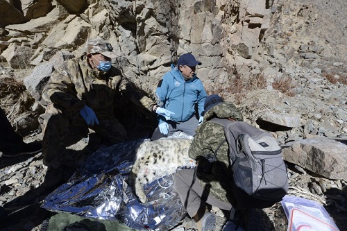 盛煌娱乐,湖南野生动物追踪,湖南卫星追踪器,湖南追踪器