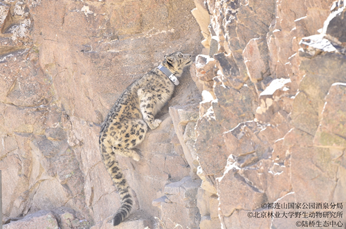 盛煌娱乐(中国游)·官方网站