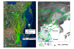 盛煌娱乐,湖南野生动物追踪,湖南卫星追踪器,湖南追踪器
