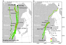 盛煌娱乐,湖南野生动物追踪,湖南卫星追踪器,湖南追踪器