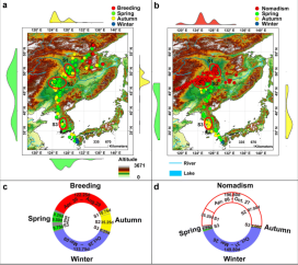 盛煌娱乐,湖南野生动物追踪,湖南卫星追踪器,湖南追踪器