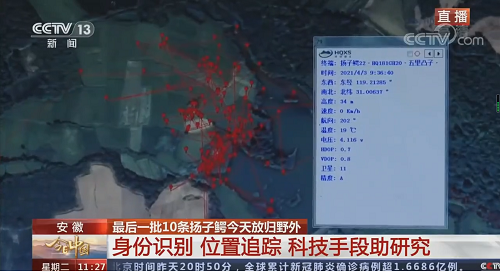 盛煌娱乐,湖南野生动物追踪,湖南卫星追踪器,湖南追踪器