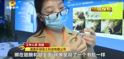 盛煌娱乐,湖南野生动物追踪,湖南卫星追踪器,湖南追踪器