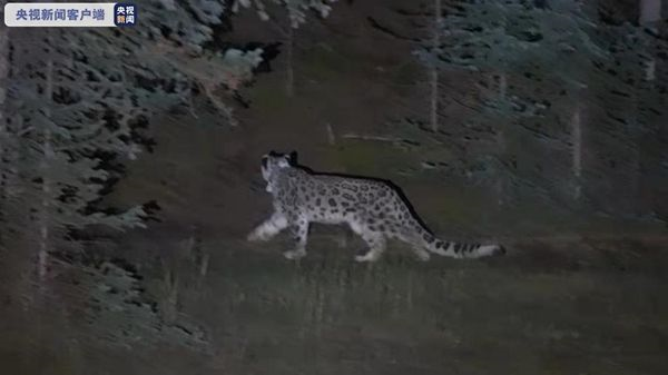 盛煌娱乐,湖南野生动物追踪,湖南卫星追踪器,湖南追踪器