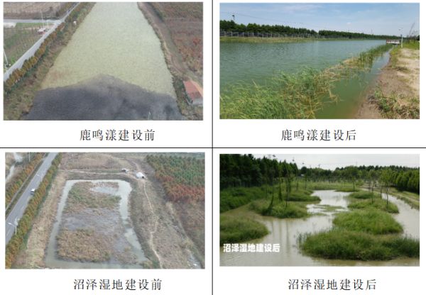 盛煌娱乐,湖南野生动物追踪,湖南卫星追踪器,湖南追踪器