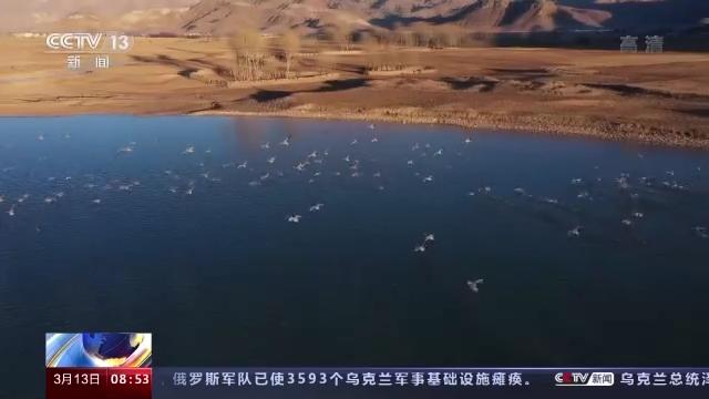盛煌娱乐,湖南野生动物追踪,湖南卫星追踪器,湖南追踪器