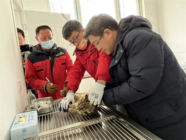 盛煌娱乐,湖南野生动物追踪,湖南卫星追踪器,湖南追踪器