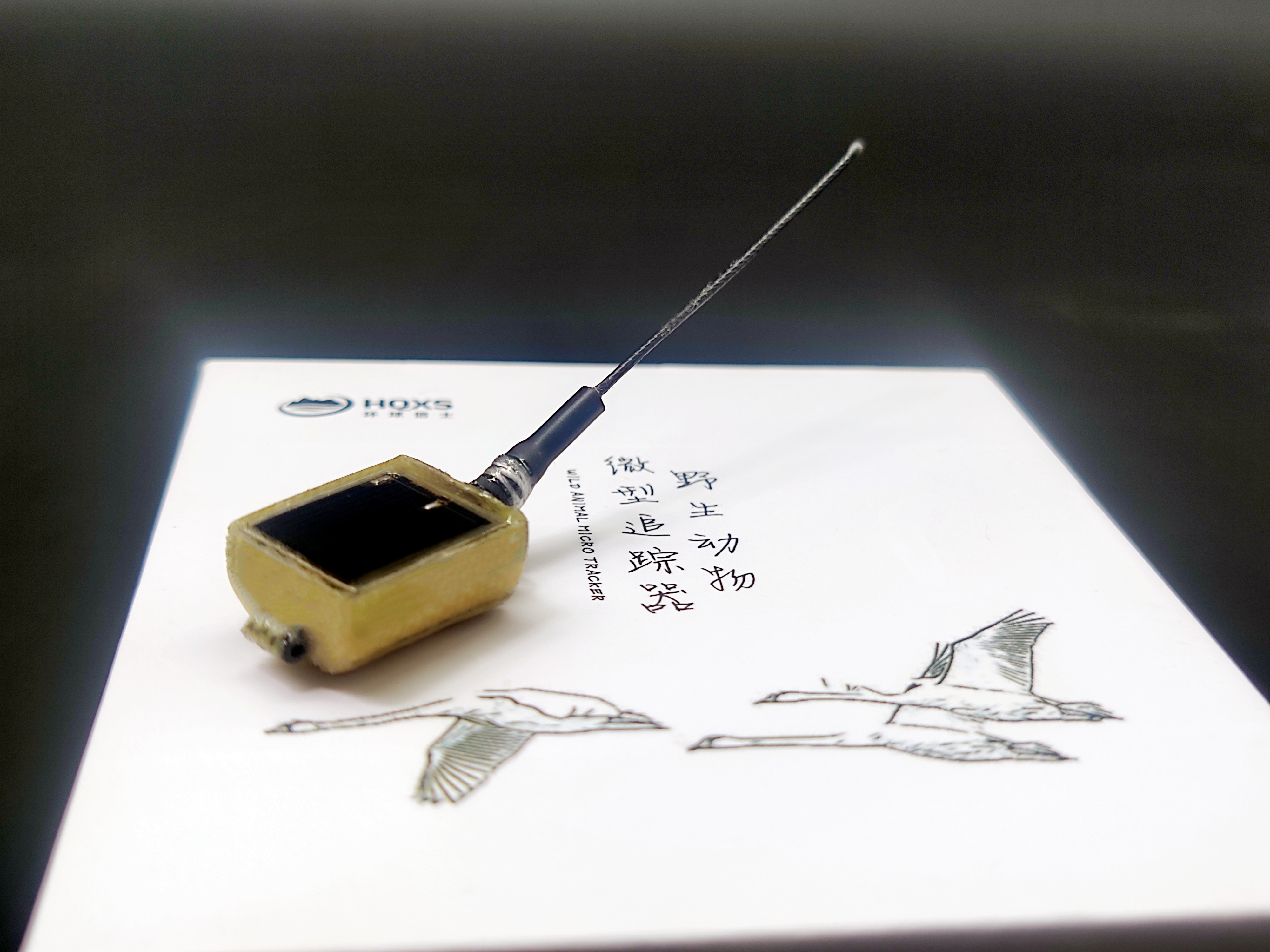 盛煌娱乐,湖南野生动物追踪,湖南卫星追踪器,湖南追踪器