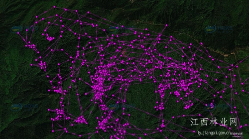 盛煌娱乐,湖南野生动物追踪,湖南卫星追踪器,湖南追踪器