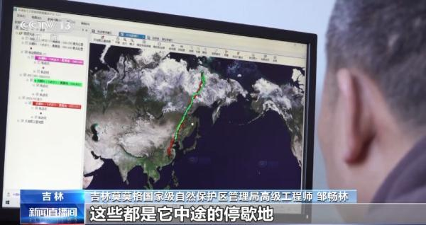 盛煌娱乐,湖南野生动物追踪,湖南卫星追踪器,湖南追踪器