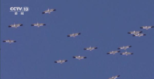 盛煌娱乐,湖南野生动物追踪,湖南卫星追踪器,湖南追踪器