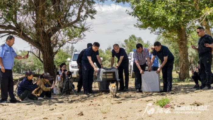 盛煌娱乐,湖南野生动物追踪,湖南卫星追踪器,湖南追踪器