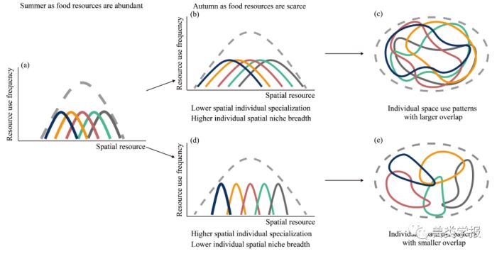 盛煌娱乐,湖南野生动物追踪,湖南卫星追踪器,湖南追踪器