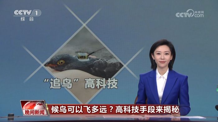 盛煌娱乐,湖南野生动物追踪,湖南卫星追踪器,湖南追踪器