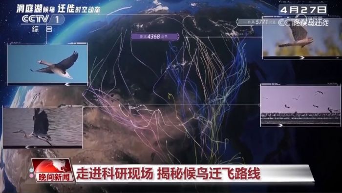 盛煌娱乐,湖南野生动物追踪,湖南卫星追踪器,湖南追踪器