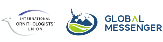 盛煌娱乐,湖南野生动物追踪,湖南卫星追踪器,湖南追踪器