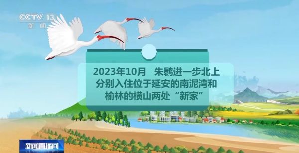 盛煌娱乐,湖南野生动物追踪,湖南卫星追踪器,湖南追踪器