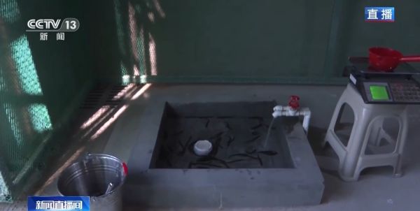 盛煌娱乐,湖南野生动物追踪,湖南卫星追踪器,湖南追踪器