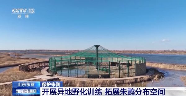 盛煌娱乐,湖南野生动物追踪,湖南卫星追踪器,湖南追踪器