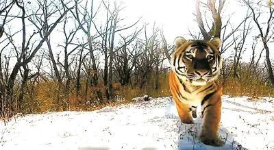 盛煌娱乐(中国游)·官方网站