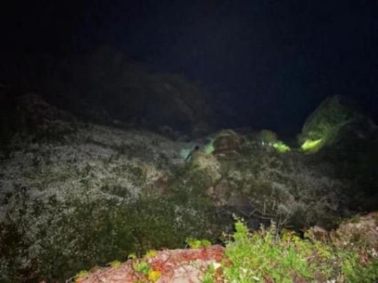 盛煌娱乐,湖南野生动物追踪,湖南卫星追踪器,湖南追踪器