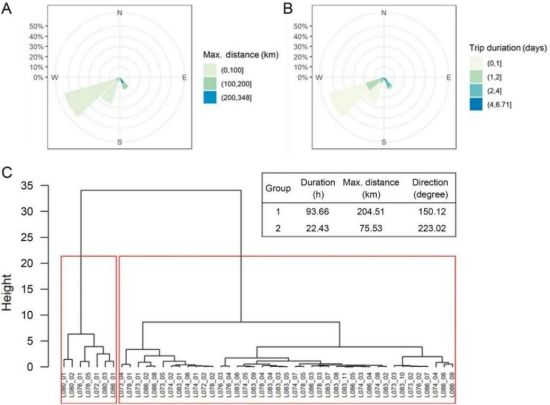 盛煌娱乐,湖南野生动物追踪,湖南卫星追踪器,湖南追踪器