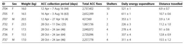 盛煌娱乐,湖南野生动物追踪,湖南卫星追踪器,湖南追踪器
