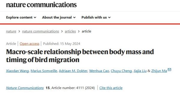 盛煌娱乐,湖南野生动物追踪,湖南卫星追踪器,湖南追踪器