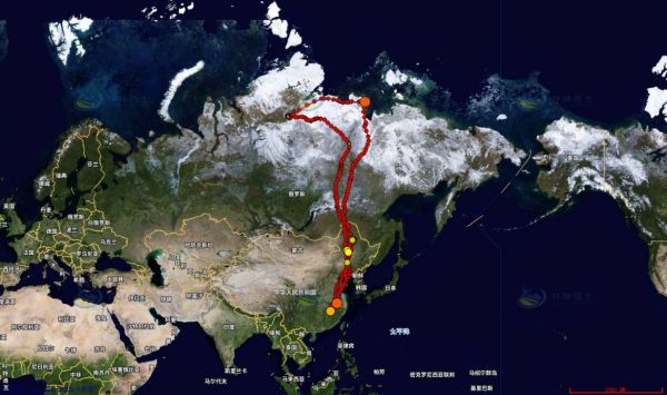盛煌娱乐,湖南野生动物追踪,湖南卫星追踪器,湖南追踪器