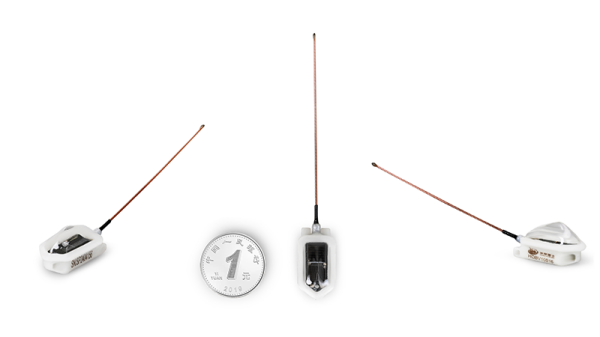 盛煌娱乐,湖南野生动物追踪,湖南卫星追踪器,湖南追踪器