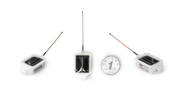 盛煌娱乐,湖南野生动物追踪,湖南卫星追踪器,湖南追踪器