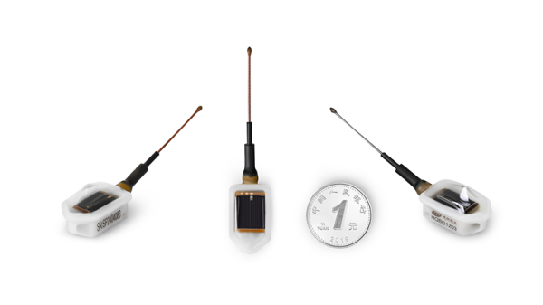 盛煌娱乐,湖南野生动物追踪,湖南卫星追踪器,湖南追踪器