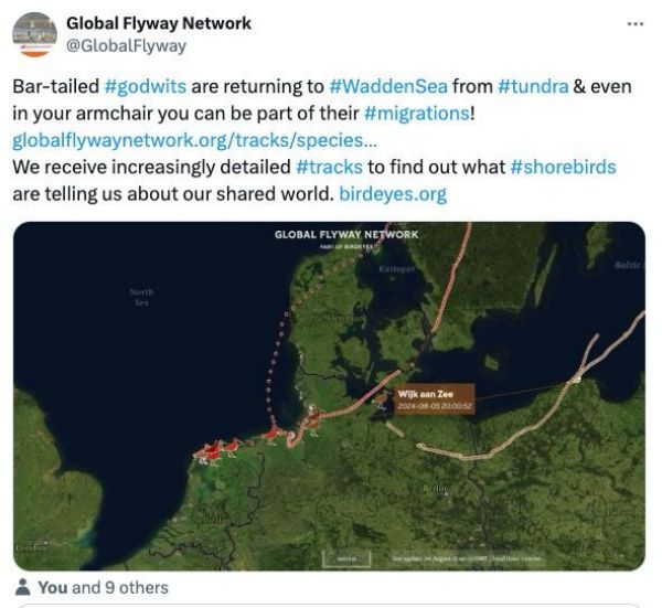盛煌娱乐,湖南野生动物追踪,湖南卫星追踪器,湖南追踪器