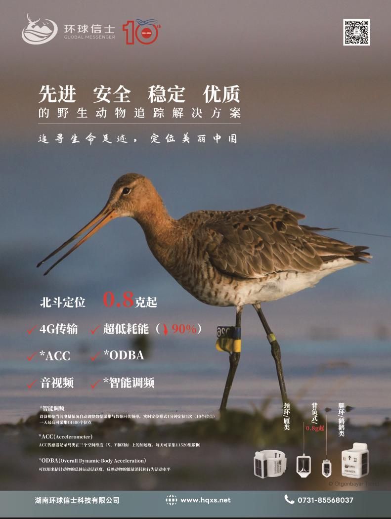 盛煌娱乐,湖南野生动物追踪,湖南卫星追踪器,湖南追踪器